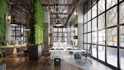 Dekorace a rostliny pro potlačení hluku v open space kancelářích