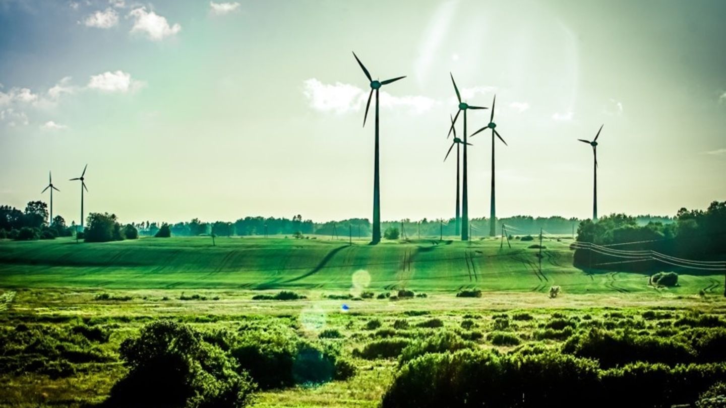 NGEF: Levná větrná energie zažívá opět boom